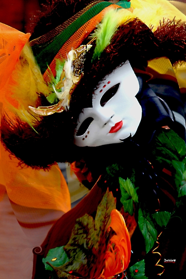 Diapositive 08++Deambulations.jpeg 