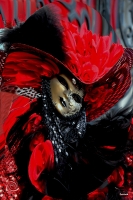 Vignette 04++Deambulations.jpeg 