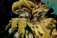 Vignette 28++Deambulations.jpeg 