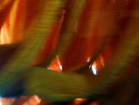 Vignette 15++Jeux-eau.jpeg 