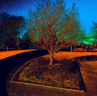 Vignette 17++Terracotta.jpeg 